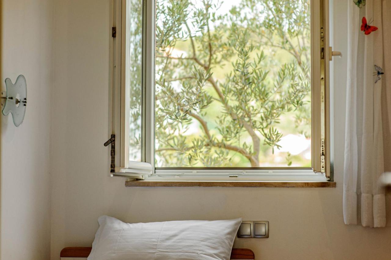 Apartment Jelić Szybenik Zewnętrze zdjęcie